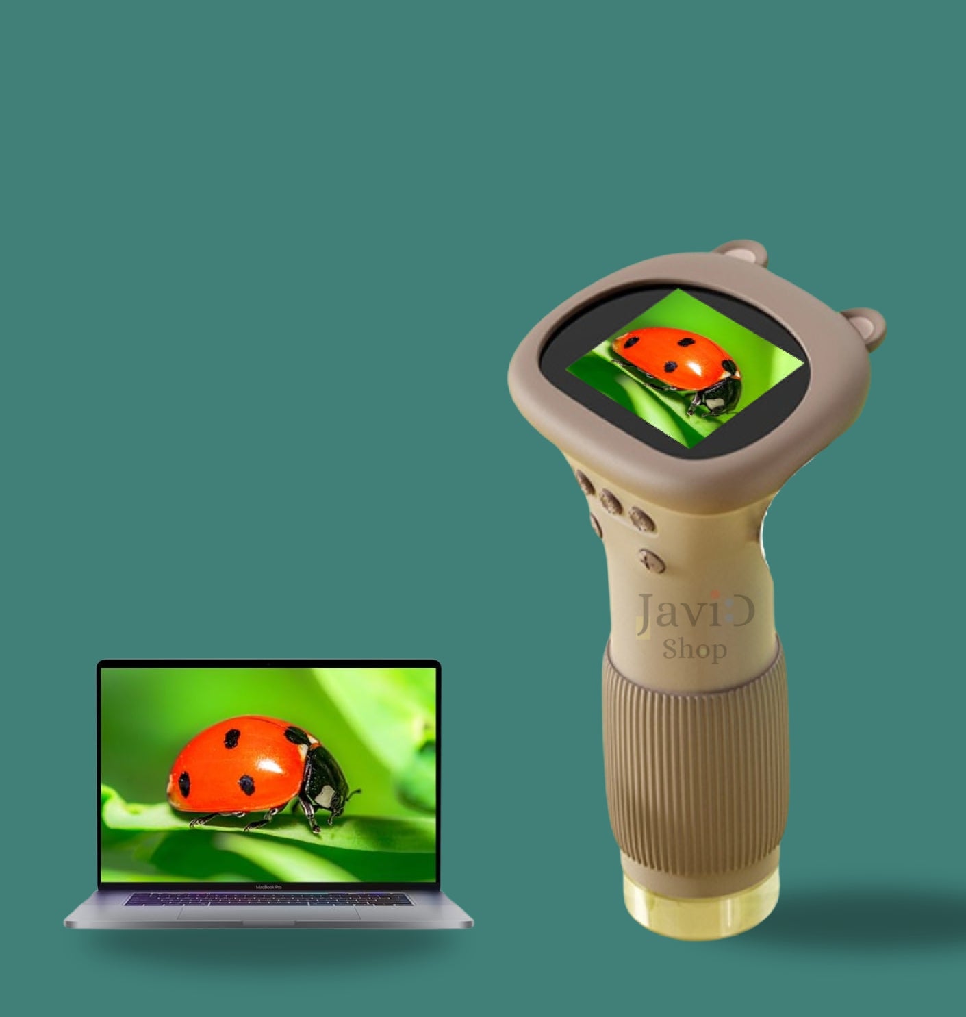 Zoomy