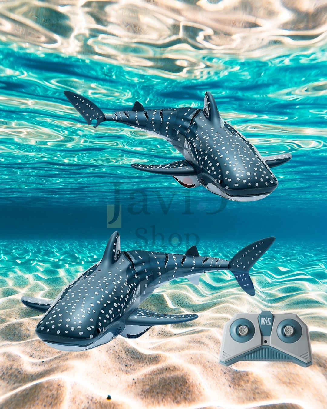 RC Shark Rider