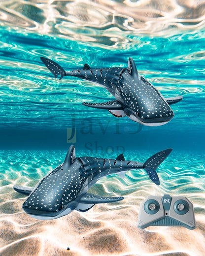 RC Shark Rider